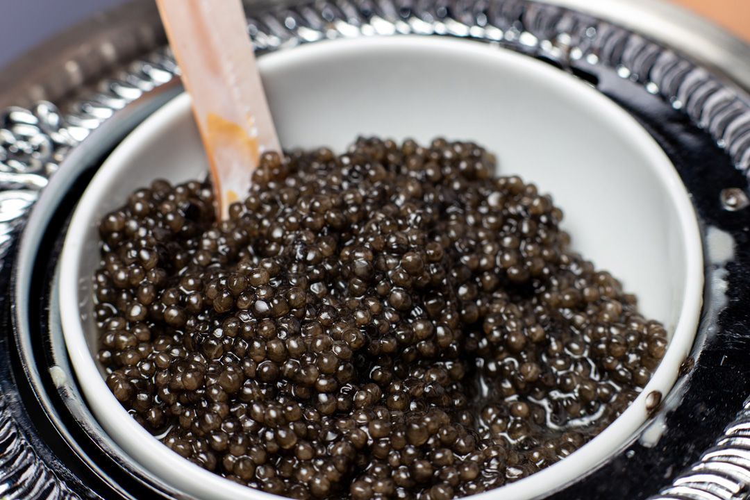 caviar beluga roe